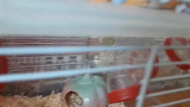 2 минуты из жизни Куми смотреть онлайн