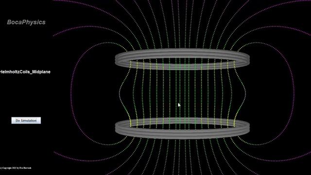 BocaPhysics Series on Electromagnetism: Simulations and Mini Lecture: Magnetic Field Lines смотреть онлайн