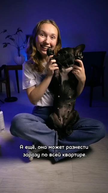 Почему собакам нужно мыть лапки? #собаки смотреть онлайн