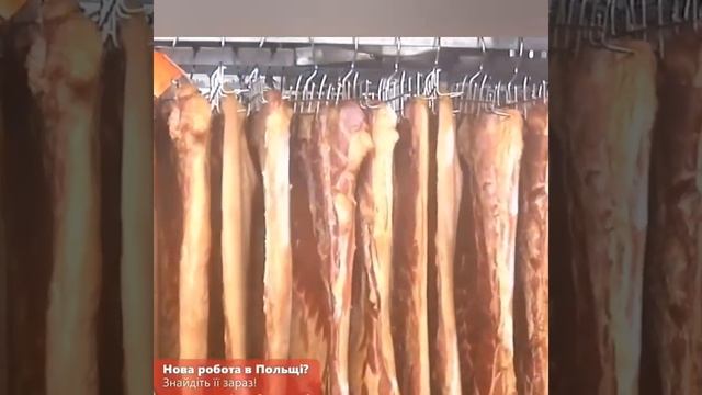 Пищевая промышленность. Мясоперерабатывающее предприятие в Польше. Жизнь и работа в Польше. смотреть онлайн