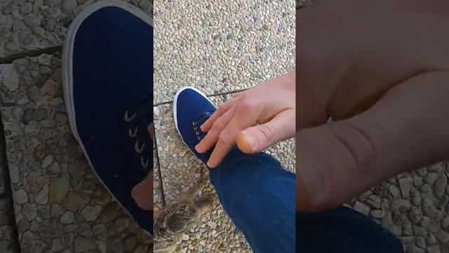 Когда нервы не впорядке)))