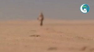 БАРЧА ЁМОНЛИКЛАРДАН СОҚЛАНИШ ДУОСИ Жуда кучли Дуо!