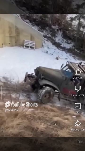 1000143958.mp4 смотреть онлайн