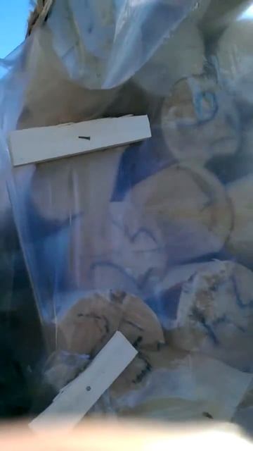 Упаковка и загрузка оцилиндрованного бревна - Компания «Ро-Строй» смотреть онлайн