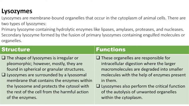 Lecture PPT on cell organelles and their functions смотреть онлайн