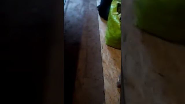 Разнорабочие на строительных площадках в ИЦ г. Казани РТ. смотреть онлайн