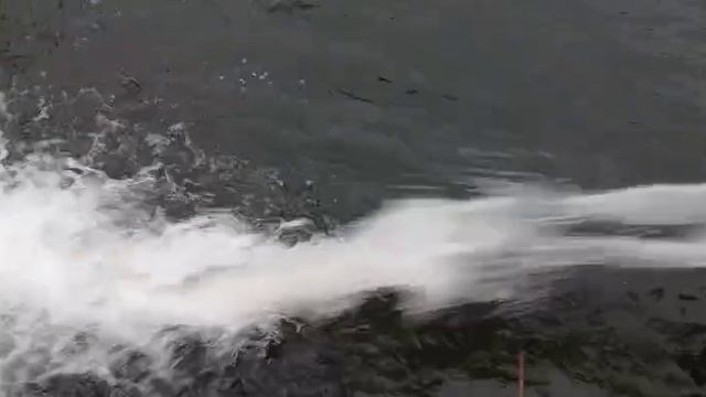 06-03-2025 смотреть онлайн