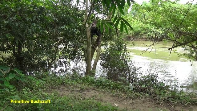 LIVING OFF GRID - Smart Fishing Hooks Catch Fish - Wild Fishing Meet Forest People смотреть онлайн