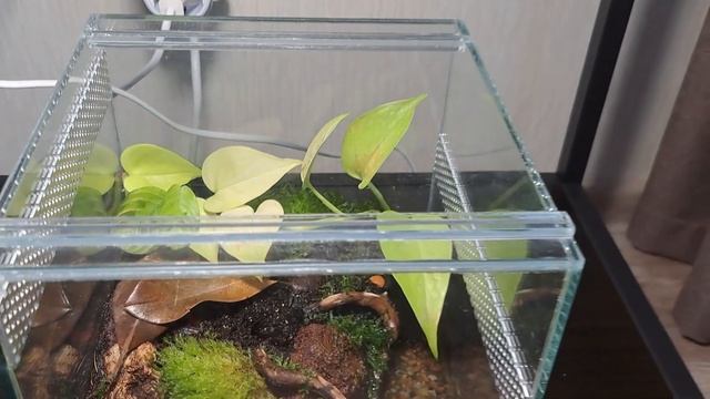 Палюдариум  для крабов 