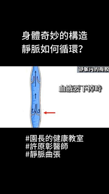 身體奇妙的構造，靜脈如何循環｜許原彰醫師：高雄，台南，屏東，台中靜脈曲張專科 #健康 #靜脈曲張 #保健 #醫療 смотреть онлайн