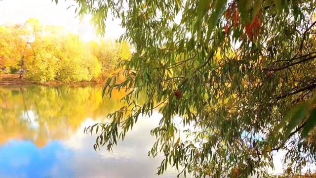 "Лебединая грусть". Авторская песня Валентины Рих. смотреть онлайн