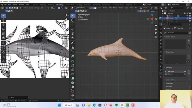 Dolphin Texturing #blender #tutorial #texturing смотреть онлайн