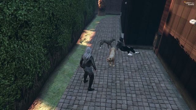 атака Элиота