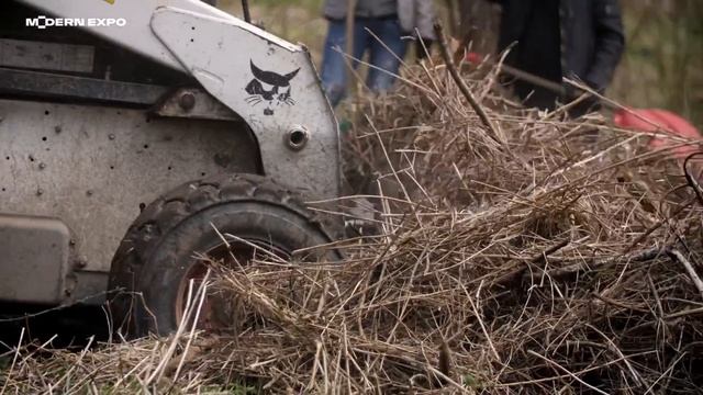 MODERN TOLOKA 2019 смотреть онлайн