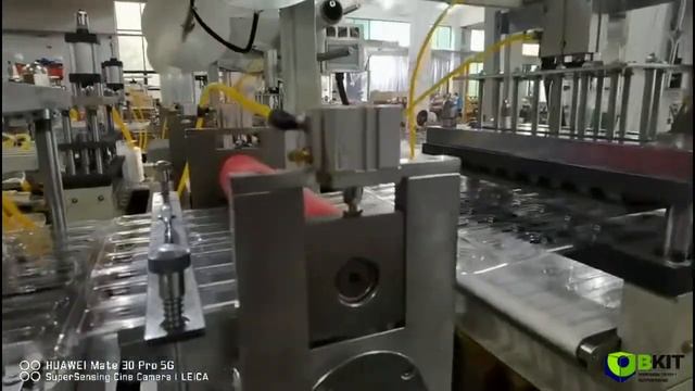 Термоформер мод.DP420S-4 для производства лотков или блистеров смотреть онлайн