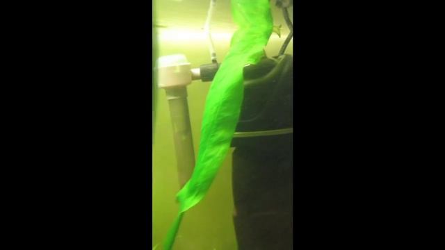 тест драйв Со2 реактора смотреть онлайн