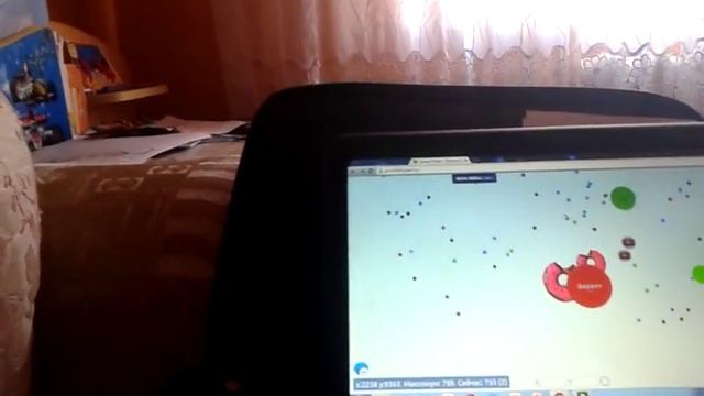 Чашка петри 1 серия пончик