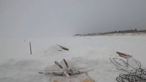 (49). Рыбалка на Енисее. Налим и ещё раз налим.))) 19.01.2022