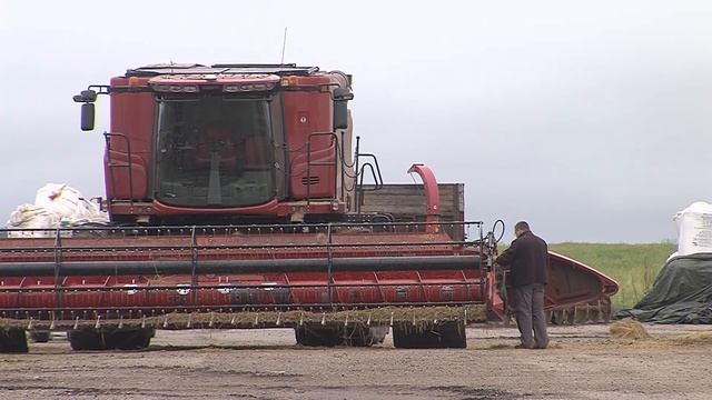 Крестьяне бьют тревогу