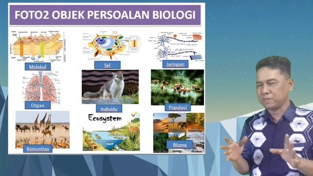 Ruang lingkup biologi смотреть онлайн
