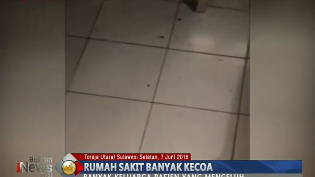 Menjijikan!! Beredar Video Rumah Sakit di Toraja Utara Dipenuhi Kecoa - BIP 08/06 смотреть онлайн