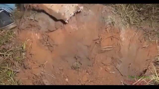 Эксперимент! Жидкий алюминий и заброшенный муравейник смотреть онлайн
