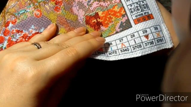 СЛАБОНЕРВНЫЕ ОТДЫХАЮТ//ОДНАЖДЫ Я УВИДЕЛА У НЕГО ВО РТУ ТАКОЕ!//ВЫШИВАЕМ_И_БОЛТАЕМ