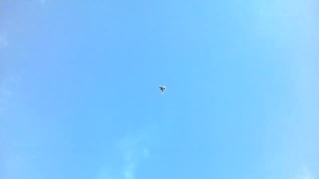 племя, сирень смотреть онлайн