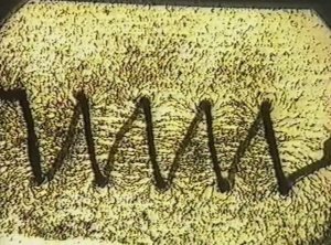 Физика. Опыты. Электричество и магнетизм.Визуализация силовых линий магнитного поля. Катушка с током