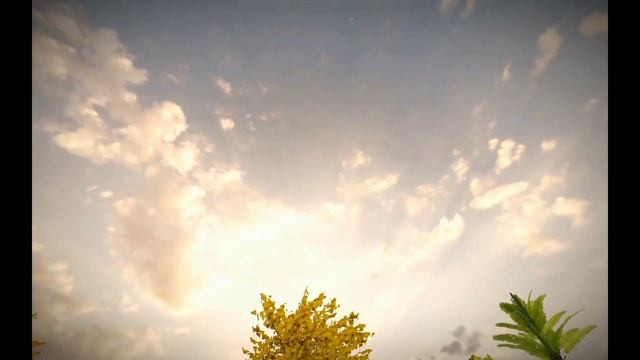 Audi TT Quattro V10 Cinematic | @Central Media|