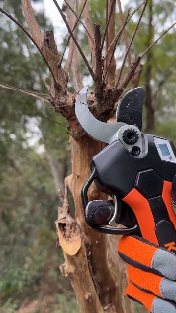 WOW SO POWERFUL- Brushless Electric Pruner Shear #gardentools #tools #gardeningequipment смотреть онлайн