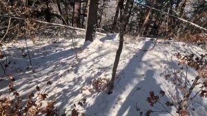 Охота на Косулю.\\ Декабрь.