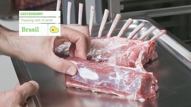 Шокофростер Multifresh - бесподобный многофункциональный помощник Mya_дилер ROVABO смотреть онлайн