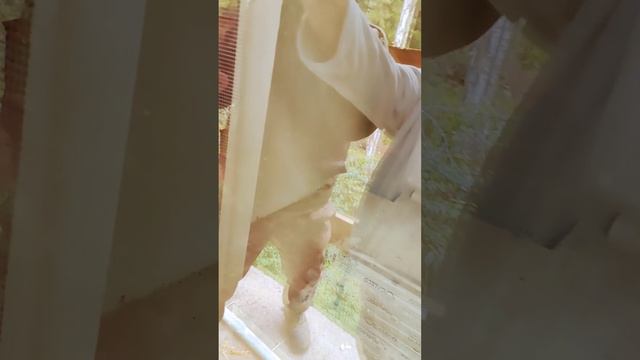 9 октября 2023 г. смотреть онлайн