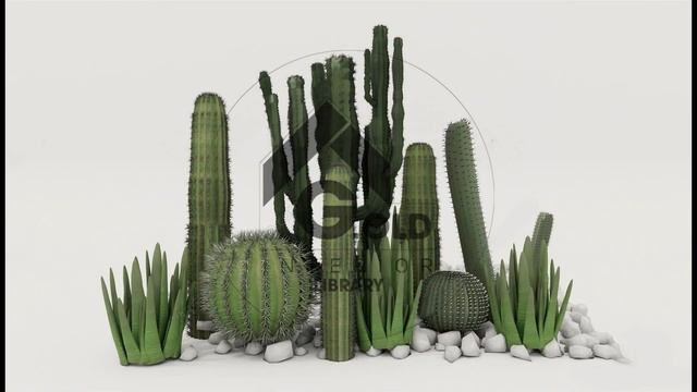 SGS131 - Cactus Plants - Sketchup Library смотреть онлайн