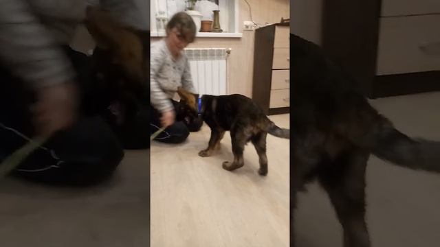 Гайка 1 смотреть онлайн