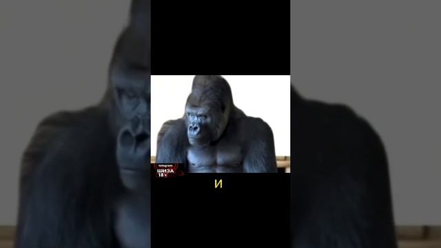 Подарок на 8 марта🙂 смотреть онлайн