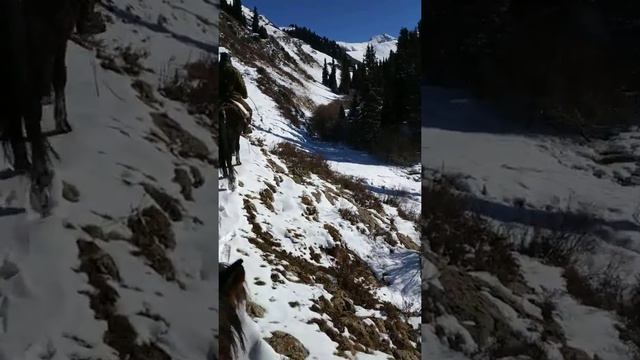 Талдысай смотреть онлайн