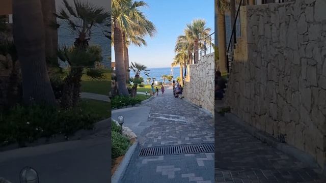 Обзор отеля Grecotel Marine Palace & Aqua Park 🇬🇷🧿🪬#GrecotelMarinePalace #Greece #Crete #Panormo смотреть онлайн