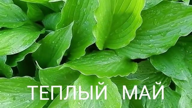 Beautiful sounds of music.Listen and enjoy. смотреть онлайн