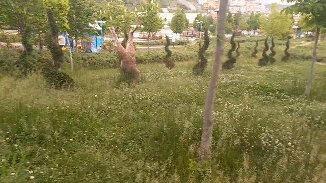 СОДЕРЖАНИЕ ГОСУДАРСТВЕННЫХ ПАРКОВ И ЗООПАРКОВ В АНКАРЕ ОГРОМНАЯ СТАТЬЯ РАСХОДОВ !ВСЕ ДЛЯ НАРОДА смотреть онлайн