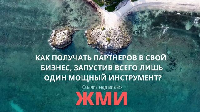 Сетевой или Партнерский?