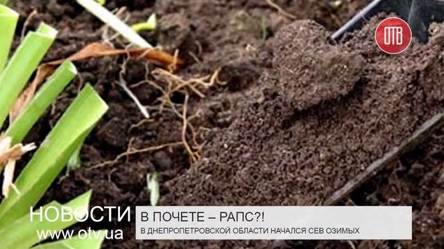В Днепропетровской области начался сев озимых (02.09.2015) смотреть онлайн