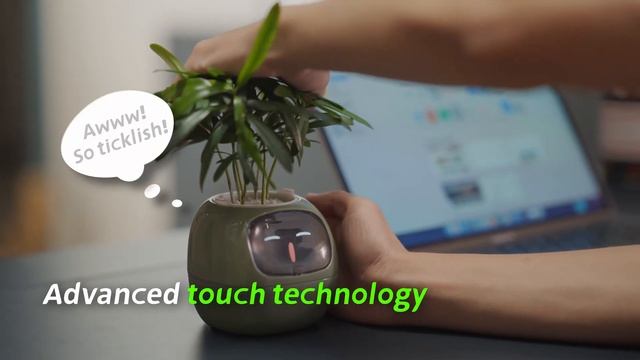 PLANTSIO IVY- Your Ideal Plant Companion with Emotions смотреть онлайн