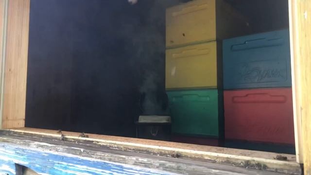 Что же я наделал?! Пчёлы устроят напад и воровство.. смотреть онлайн