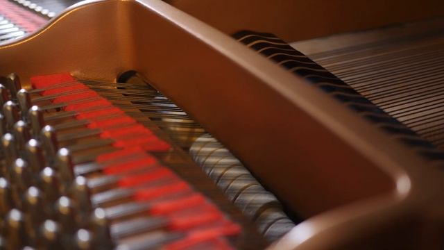 Chopin - Prelude in A major op. 28, no. 7 | Petar Dimov смотреть онлайн