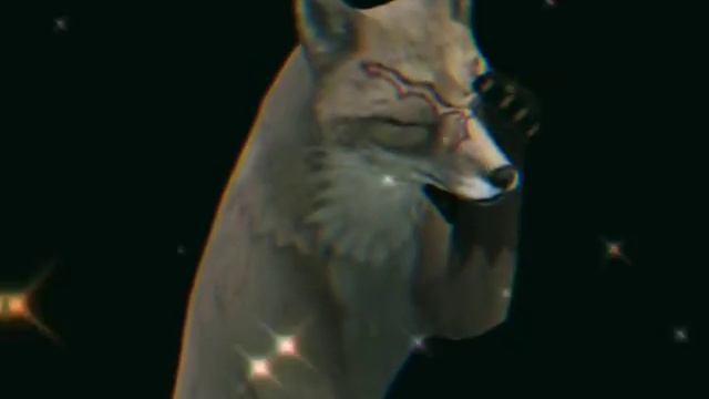 wcmv :Космос и Вечер 💕✨ collab .for: it's cruelty смотреть онлайн