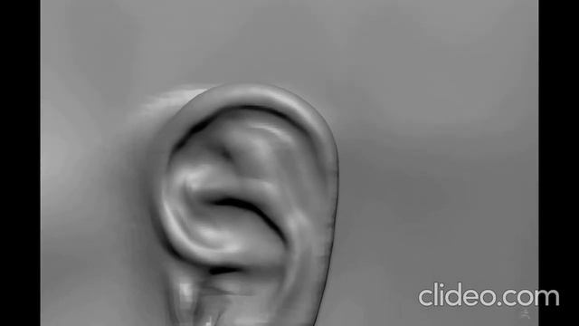 Head Sculpting With Dynamesh In Zbrush