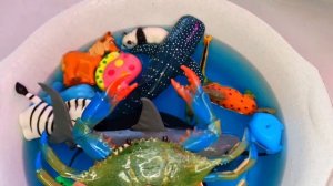 Учить названия и звуки животных! Акула, осьминог, зебра, лев, утка, корова, слон, лев, рыба-клоун.