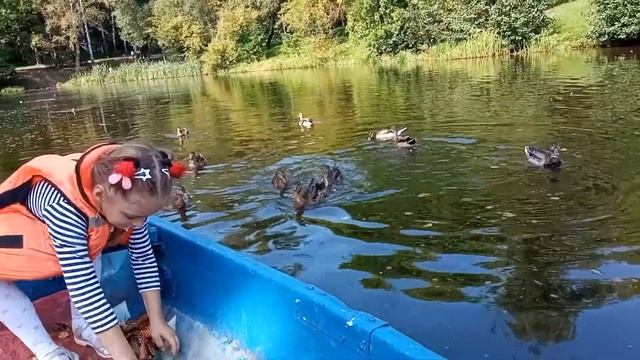 утки ! лето ! лодка! смотреть онлайн
